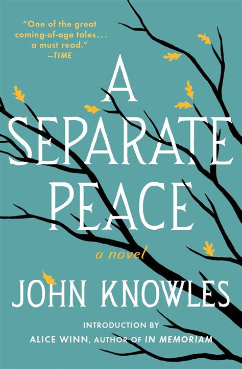 a separate peace full book.